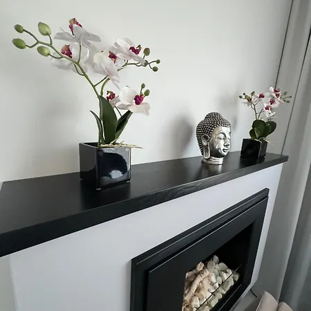 Apartament Nord House *
